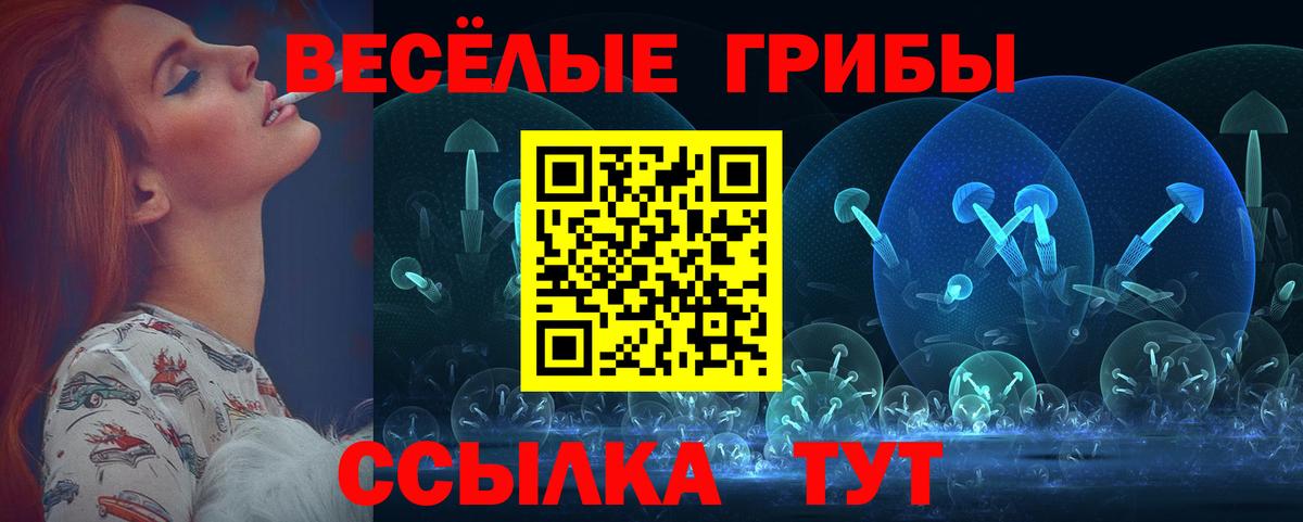 Псилоцибиновые грибы GOLDEN TEACHER  Вход с VPN  Шахты 