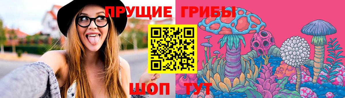 Псилоцибиновые грибы Psilocybe Шахты